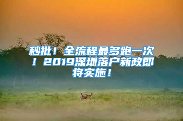 秒批！全流程最多跑一次！2019深圳落户新政即将实施！