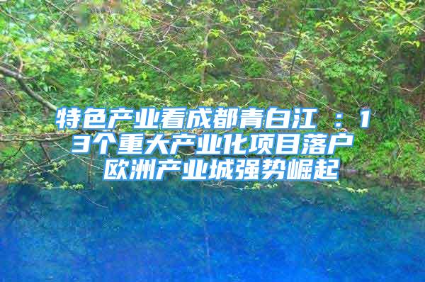 特色产业看成都青白江①：13个重大产业化项目落户 欧洲产业城强势崛起