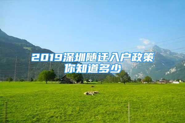 2019深圳随迁入户政策你知道多少