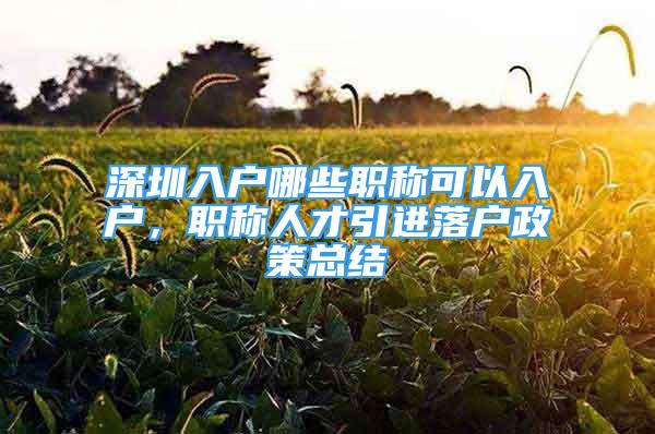 深圳入户哪些职称可以入户，职称人才引进落户政策总结