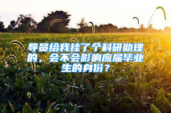 导员给我挂了个科研助理的，会不会影响应届毕业生的身份？