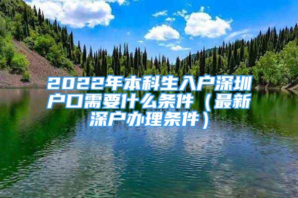 2022年本科生入户深圳户口需要什么条件（最新深户办理条件）