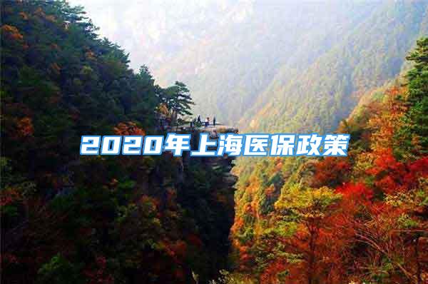 2020年上海医保政策