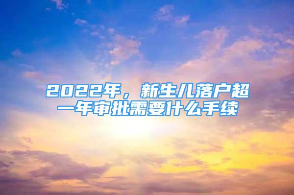 2022年，新生儿落户超一年审批需要什么手续