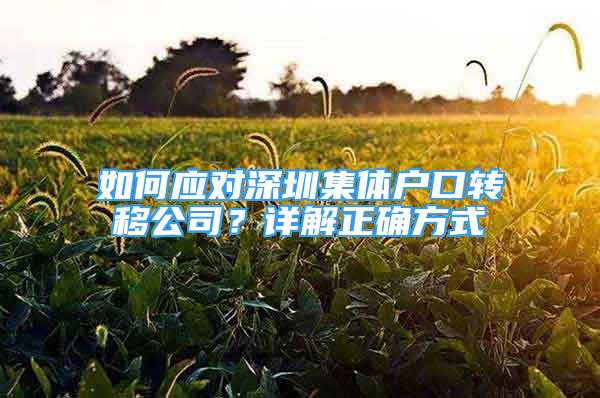 如何应对深圳集体户口转移公司？详解正确方式