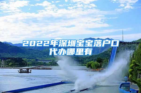 2022年深圳宝宝落户口代办哪里有