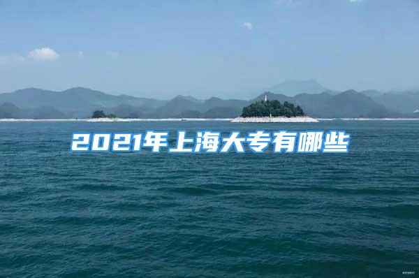 2021年上海大专有哪些