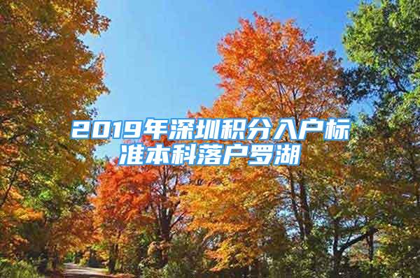 2019年深圳积分入户标准本科落户罗湖