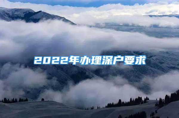 2022年办理深户要求