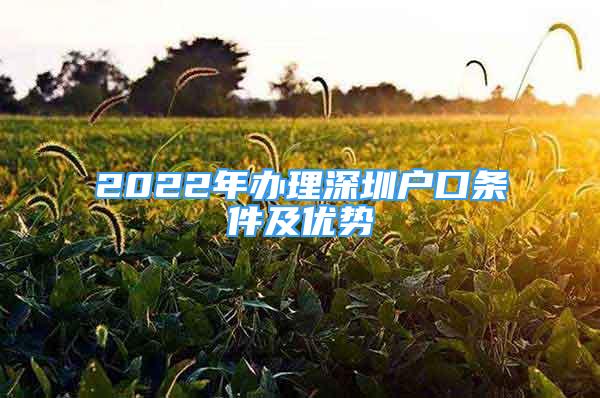 2022年办理深圳户口条件及优势