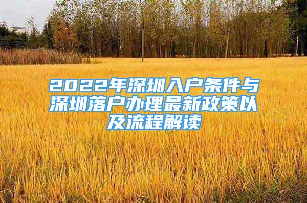 2022年深圳入户条件与深圳落户办理最新政策以及流程解读