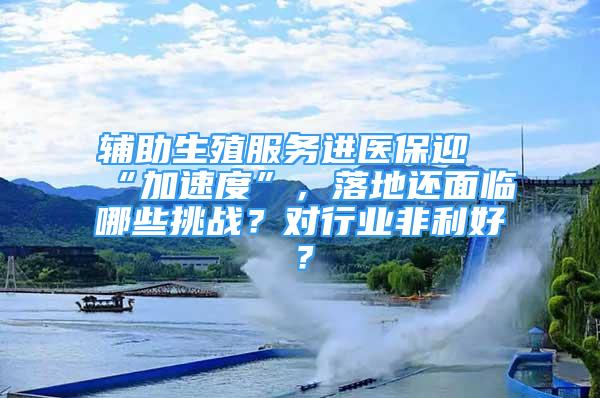 辅助生殖服务进医保迎“加速度”，落地还面临哪些挑战？对行业非利好？