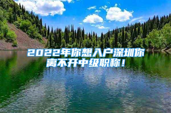 2022年你想入户深圳你离不开中级职称！