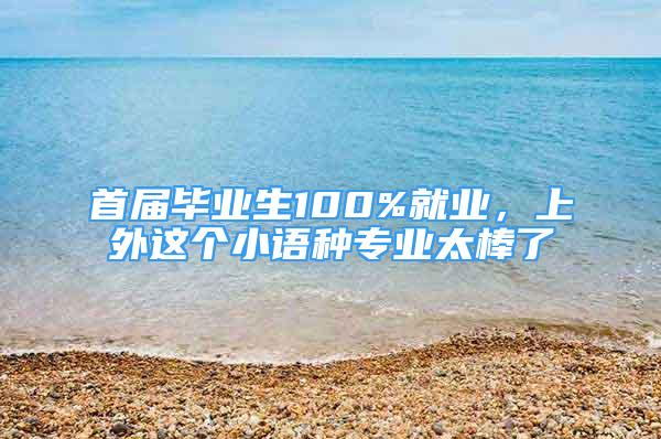 首届毕业生100%就业，上外这个小语种专业太棒了