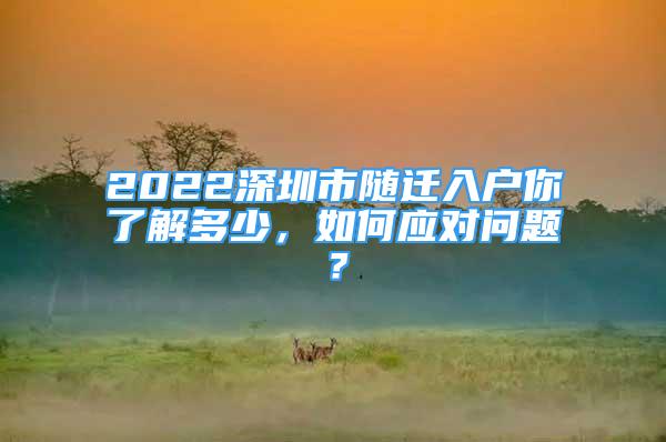 2022深圳市随迁入户你了解多少，如何应对问题？