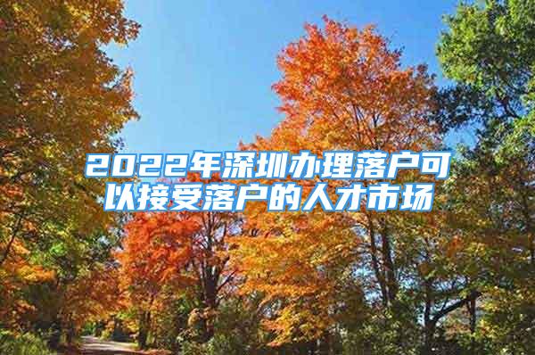 2022年深圳办理落户可以接受落户的人才市场