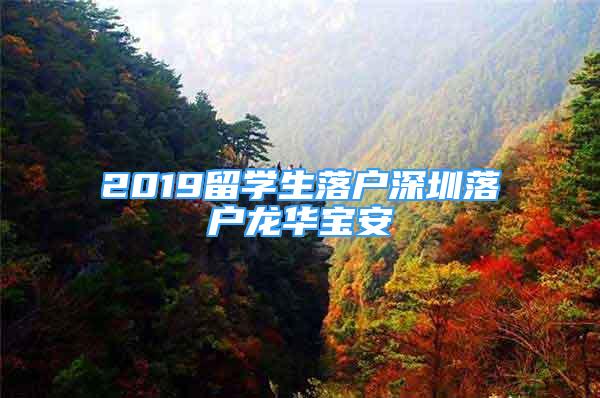 2019留学生落户深圳落户龙华宝安