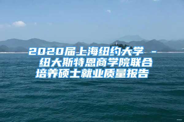 2020届上海纽约大学 - 纽大斯特恩商学院联合培养硕士就业质量报告