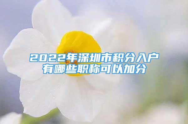 2022年深圳市积分入户有哪些职称可以加分