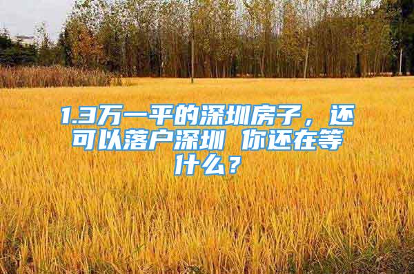 1.3万一平的深圳房子，还可以落户深圳 你还在等什么？