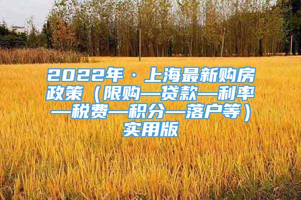 2022年·上海最新购房政策（限购—贷款—利率—税费—积分—落户等）实用版