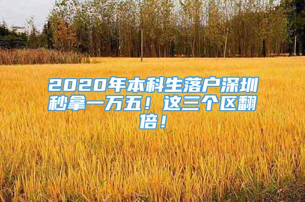 2020年本科生落户深圳秒拿一万五！这三个区翻倍！