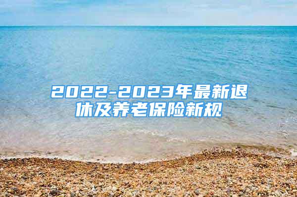 2022-2023年最新退休及养老保险新规