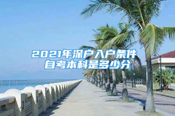 2021年深户入户条件 自考本科是多少分