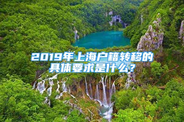 2019年上海户籍转移的具体要求是什么？