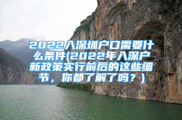 2022入深圳户口需要什么条件(2022年入深户新政策实行前后的这些细节，你都了解了吗？)