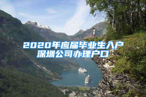 2020年应届毕业生入户深圳公司办理户口