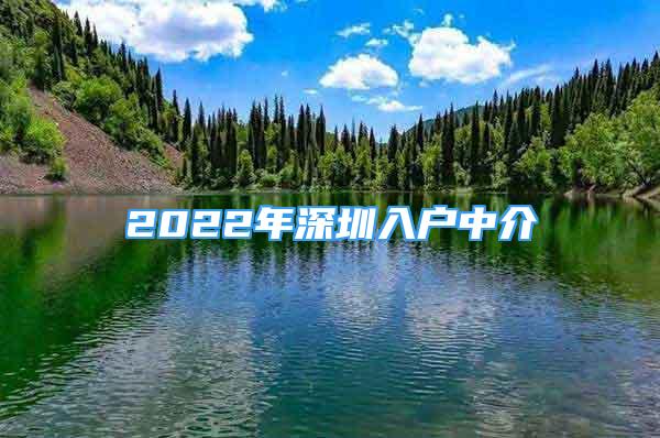 2022年深圳入户中介