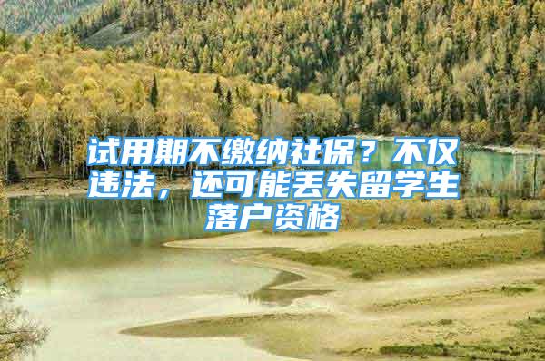 试用期不缴纳社保？不仅违法，还可能丢失留学生落户资格