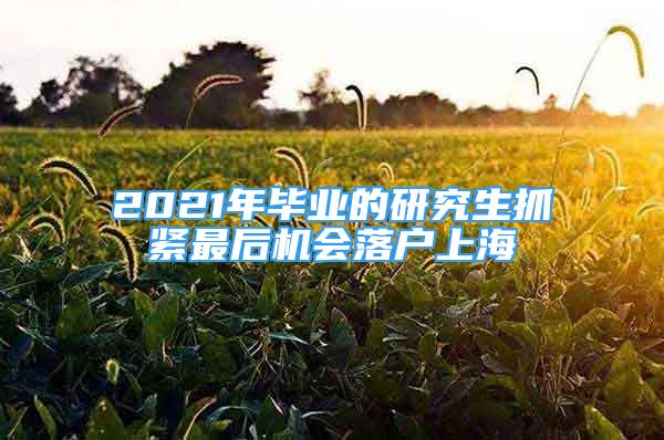 2021年毕业的研究生抓紧最后机会落户上海