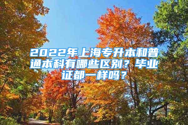 2022年上海专升本和普通本科有哪些区别？毕业证都一样吗？