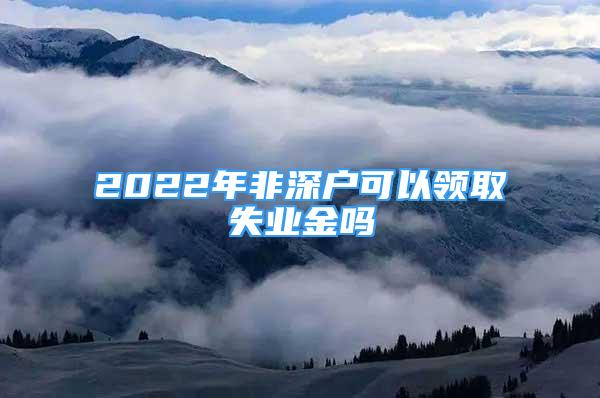 2022年非深户可以领取失业金吗