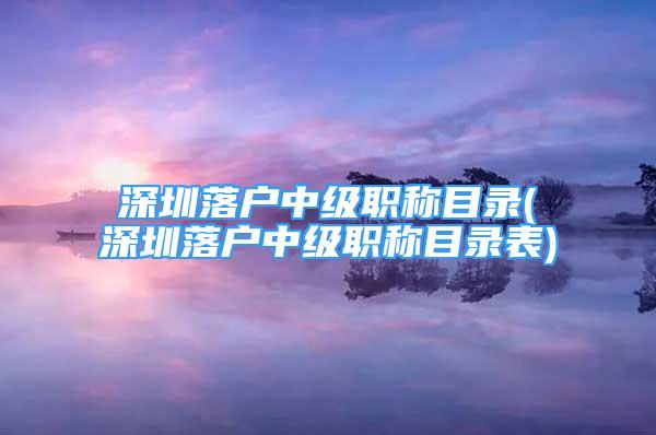 深圳落户中级职称目录(深圳落户中级职称目录表)