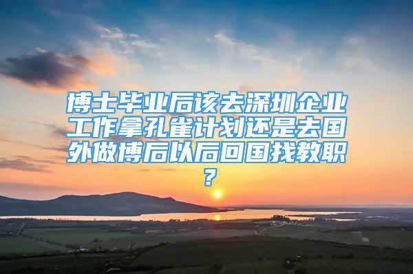 博士毕业后该去深圳企业工作拿孔雀计划还是去国外做博后以后回国找教职？