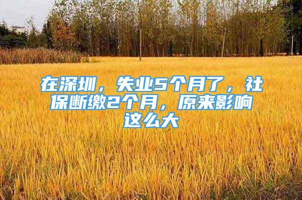 在深圳，失业5个月了，社保断缴2个月，原来影响这么大