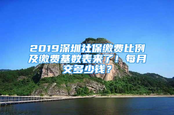 2019深圳社保缴费比例及缴费基数表来了！每月交多少钱？