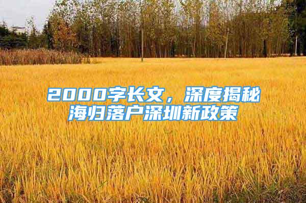 2000字长文，深度揭秘海归落户深圳新政策