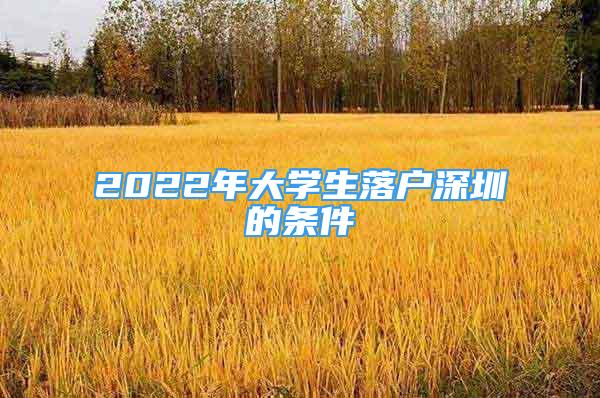 2022年大学生落户深圳的条件