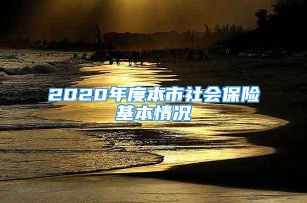 2020年度本市社会保险基本情况