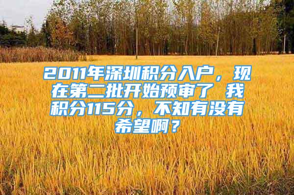 2011年深圳积分入户，现在第二批开始预审了 我积分115分，不知有没有希望啊？