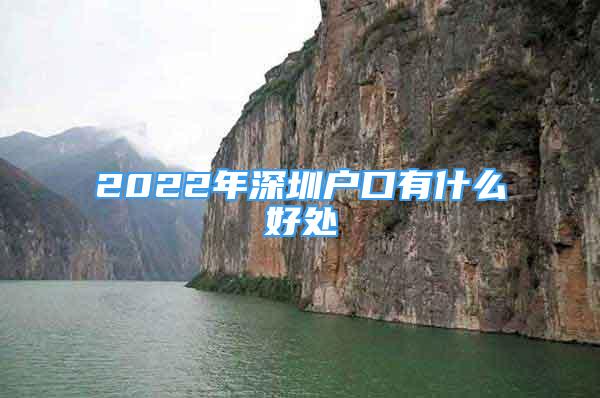 2022年深圳户口有什么好处