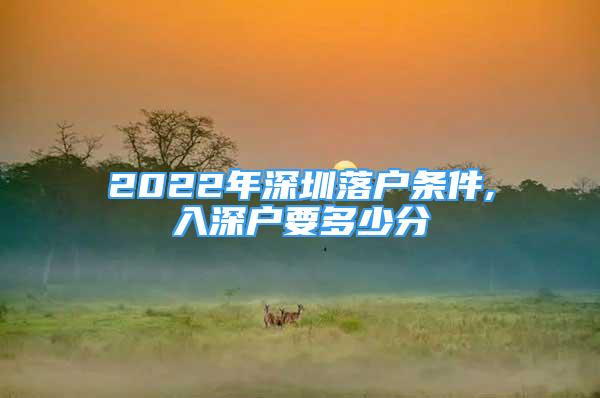 2022年深圳落户条件,入深户要多少分