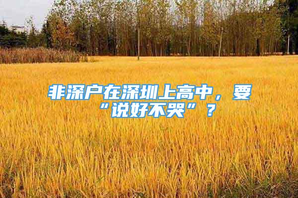 非深户在深圳上高中，要“说好不哭”？