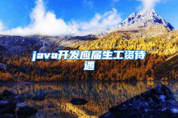 java开发应届生工资待遇