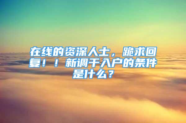 在线的资深人士，跪求回复！！新调干入户的条件是什么？