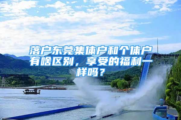 落户东莞集体户和个体户有啥区别，享受的福利一样吗？